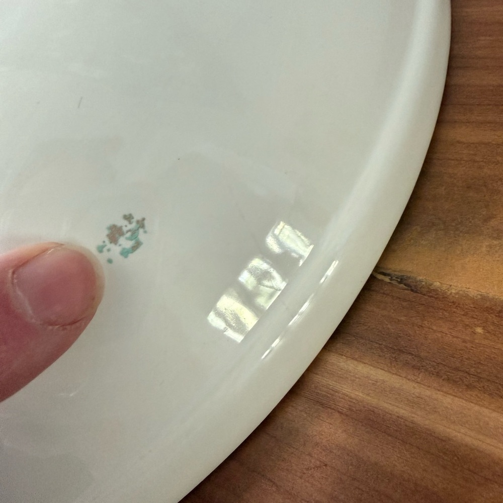 Williams-Sonoma 13” White Ceramic serving bowl with painted culinary herbs GUC - Picture 6 of 13